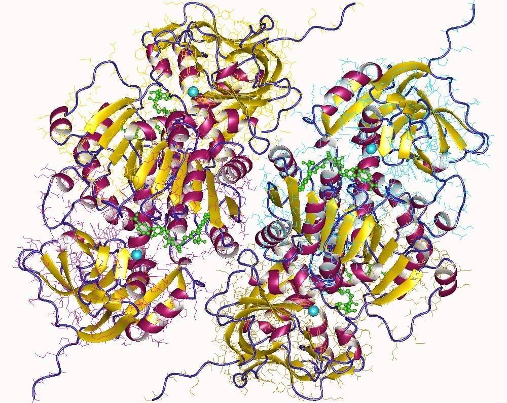 Enzyme Activity Measurement for L-Iditol 2-Dehydrogenase Using Spectrophotometric Assays